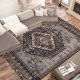 TEMU cross-border Nordic Persian printed carpets for living room decoration, non-slip, stain-resistant sofa and coffee table blankets. TEMU cross-border Nordic Persian printed carpets for living room decoration, non-slip, stain-resistant sofa and coffee table blankets.