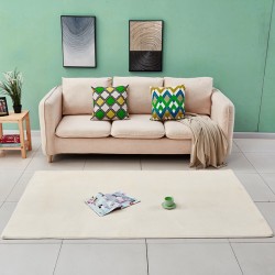 NEXTECHBIZ Simple solid color coral fleece rug, Nordic style living room coffee table mat, fresh and stylish, home bedside blanket, soft pet mat.