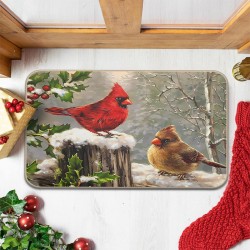 NEXTECHBIZ Diatom mud Amazon Christmas print floor mats, easy-care, stain-resistant, and wear-resistant doormats, available for shipping.