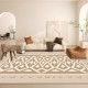 NEXTECHBIZ Nordic minimalist living room carpet, sofa coffee table blanket, bedroom bedside mat, high-end full-length closet carpet